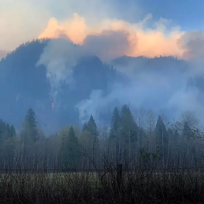 2020 Magee Road Wildfire