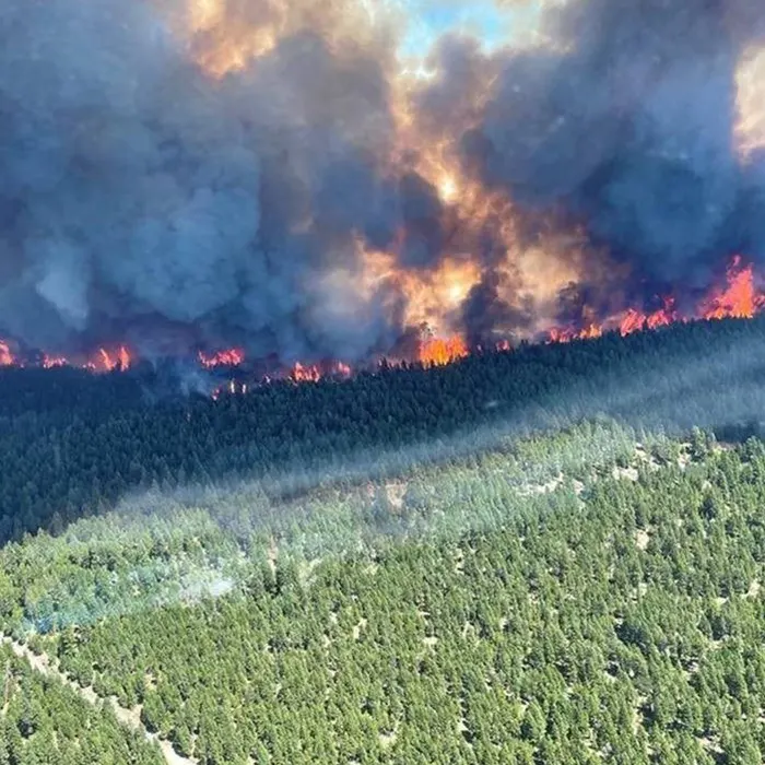 2021 Thompson Okanagan Summer Wildfire