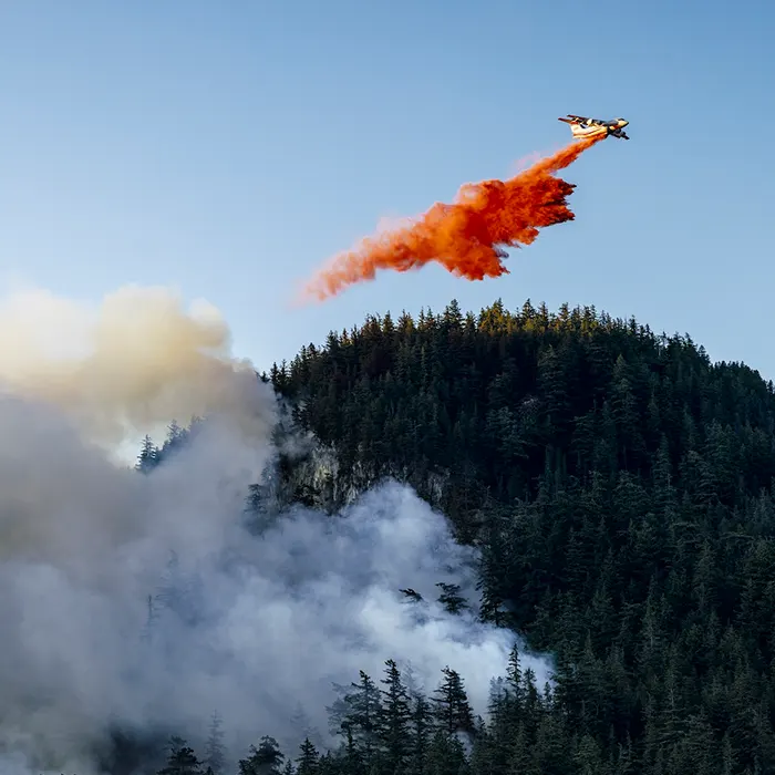 2025 Dryden Creek Wildfire